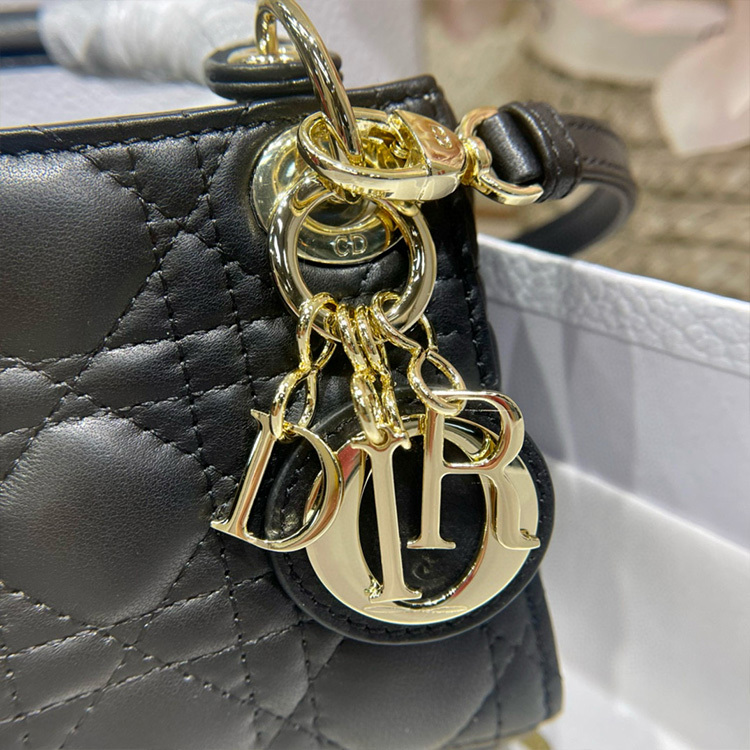 DIOR LADY MICRO BAG