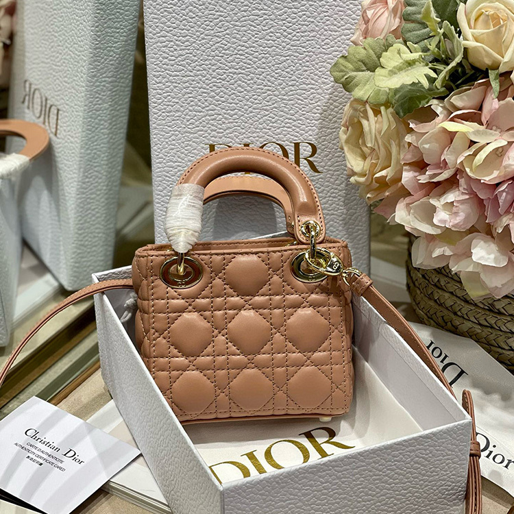 DIOR LADY MICRO BAG