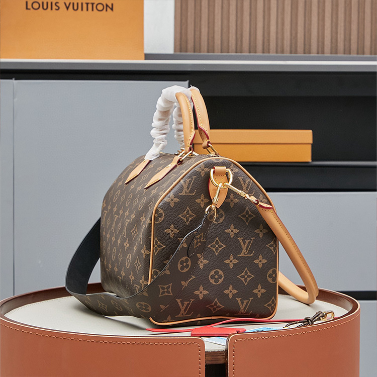 LV Speedy Soft 30 Crafty Handbag