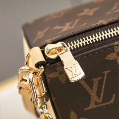 LV Bloom Pouch Bag