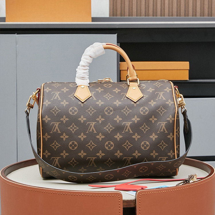 LV Speedy Soft 30 Crafty Handbag