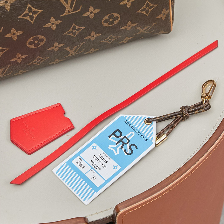 LV Speedy Soft 30 Crafty Handbag