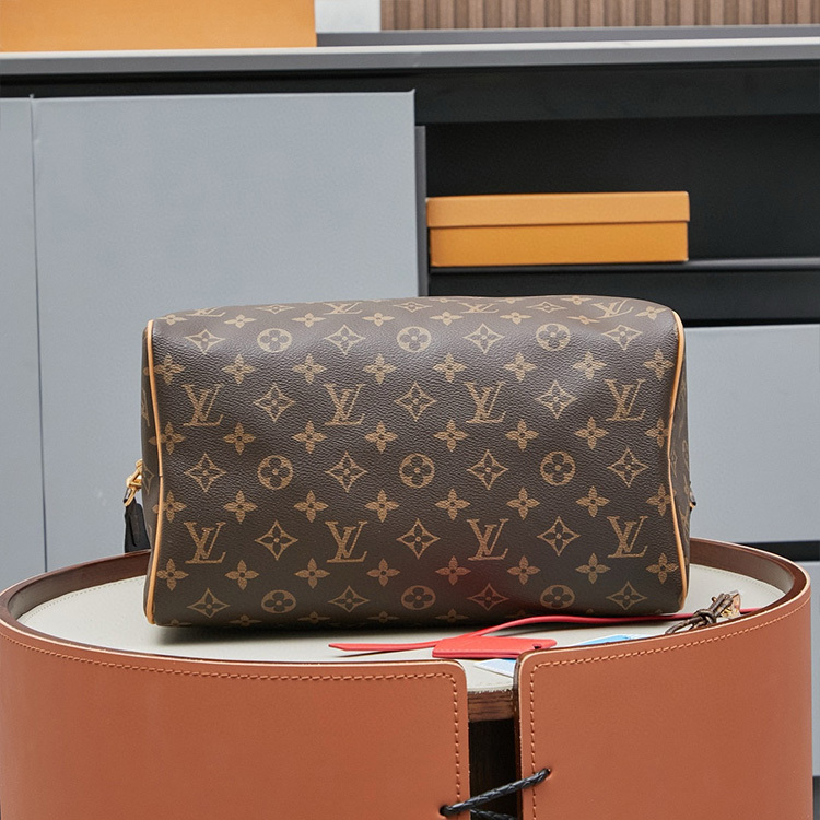 LV Speedy Soft 30 Crafty Handbag