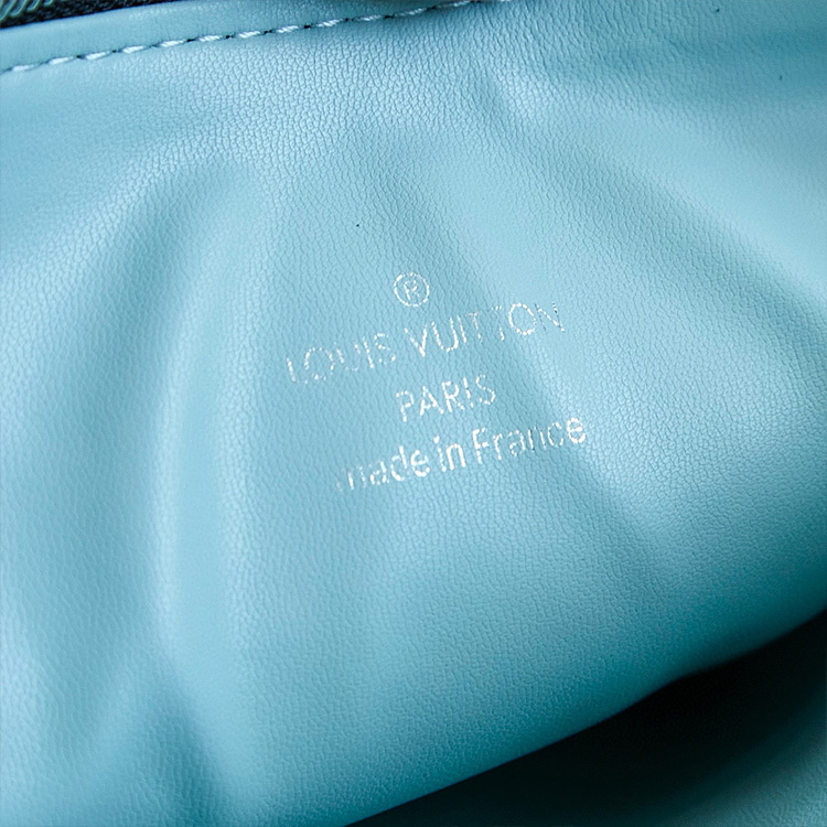 LV Coussin BB Handbag