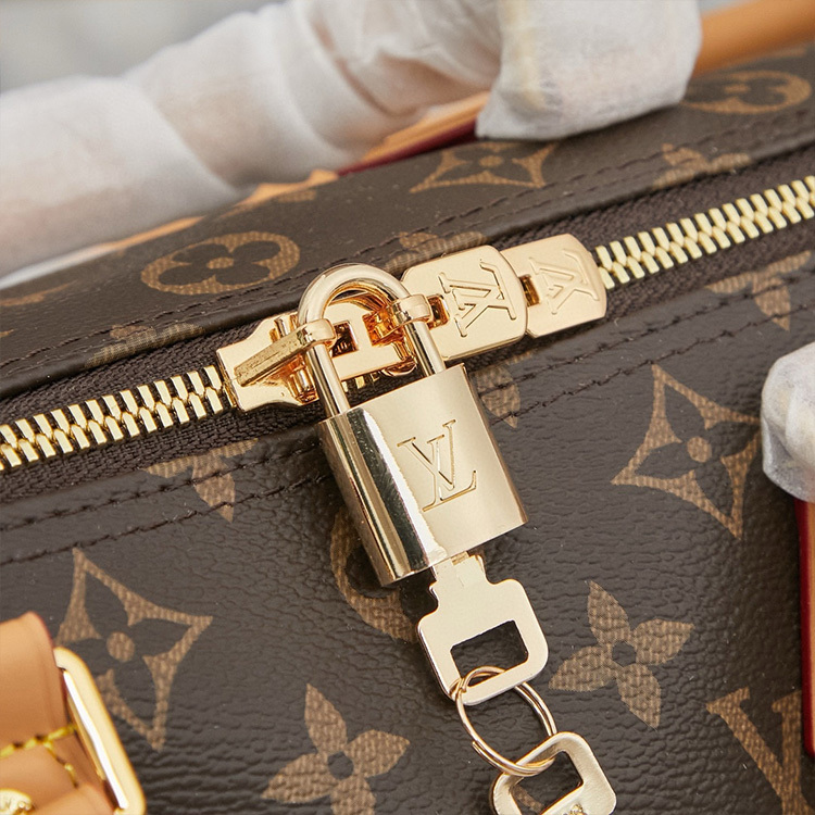 LV Speedy Soft 30 Crafty Handbag