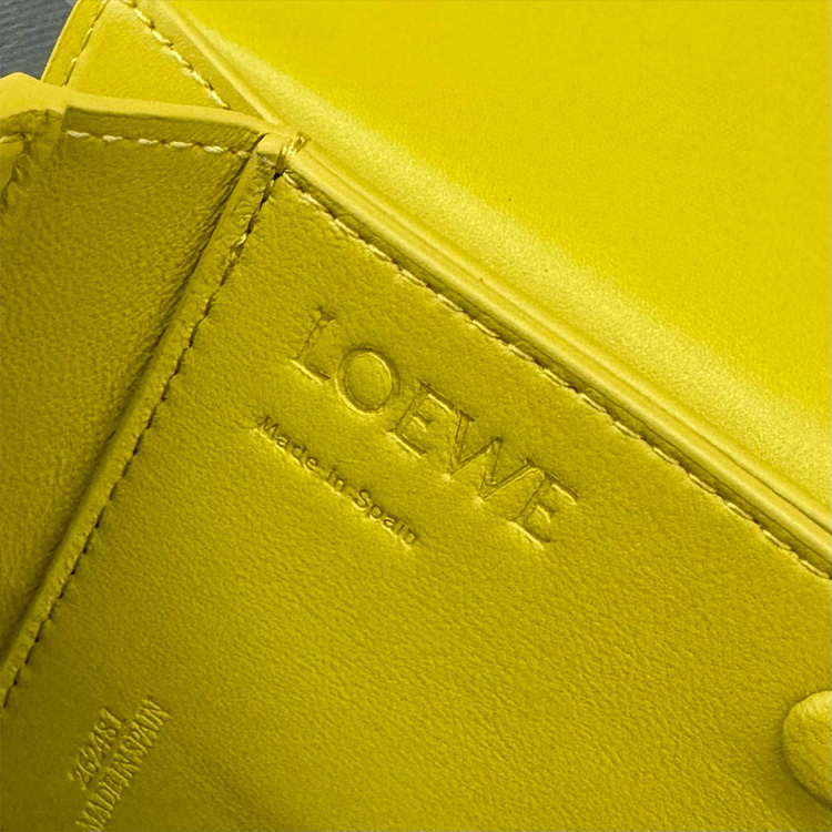 LOEWE Goya bag