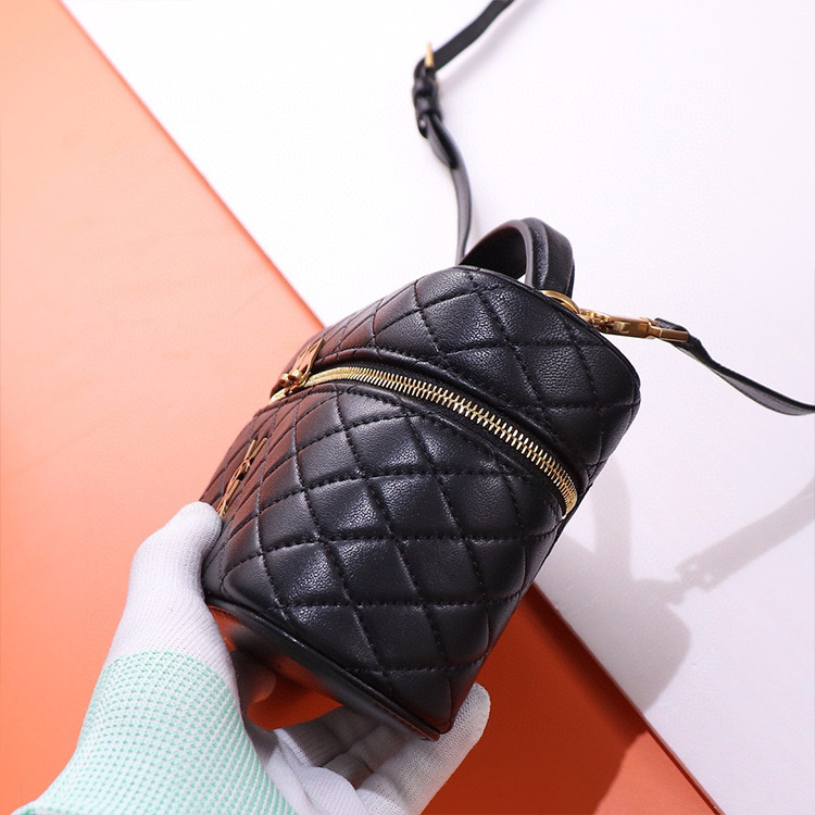 YSL GABY VANITY BAG IN LAMBSKIN
