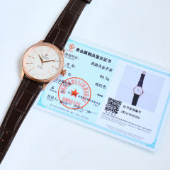 Rolex Men's Watch