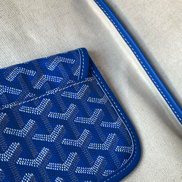 Goyard Saint Louis GM Bag