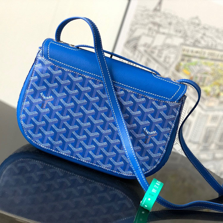 Goyard 233 bag