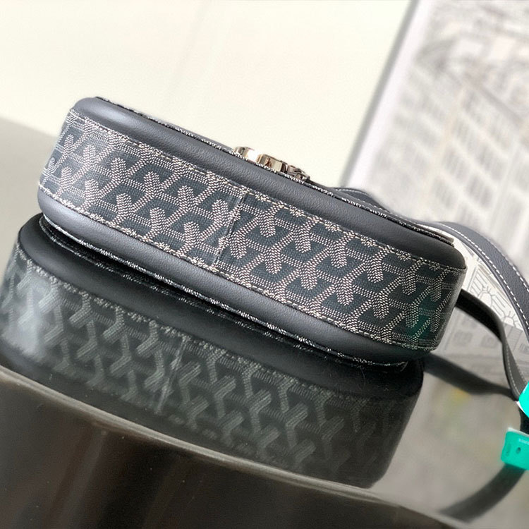 Goyard 233 bag