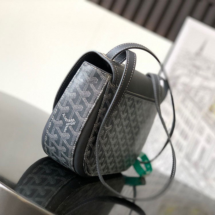 Goyard 233 bag