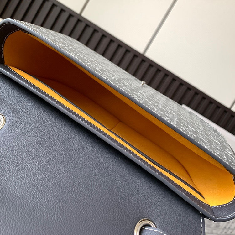 Goyard 233 bag