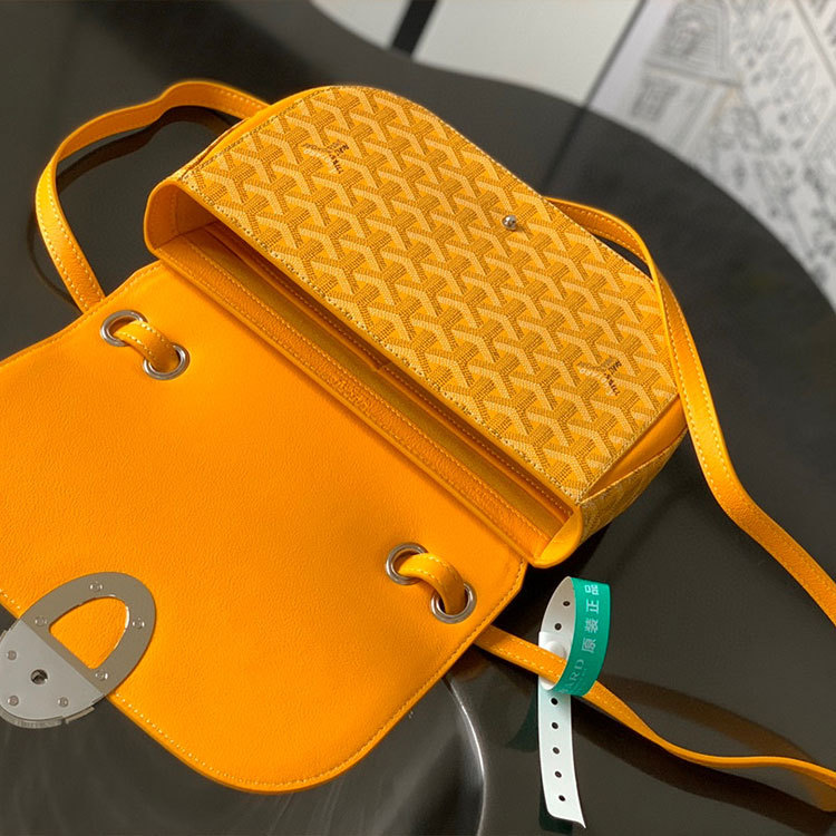 Goyard 233 bag