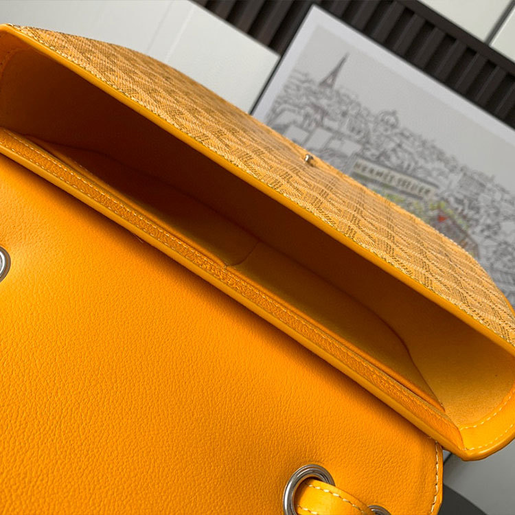 Goyard 233 bag