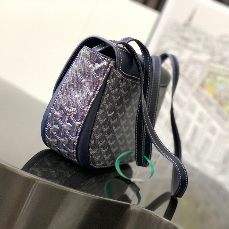 Goyard 233 bag