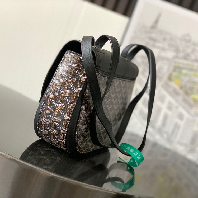 Goyard 233 bag