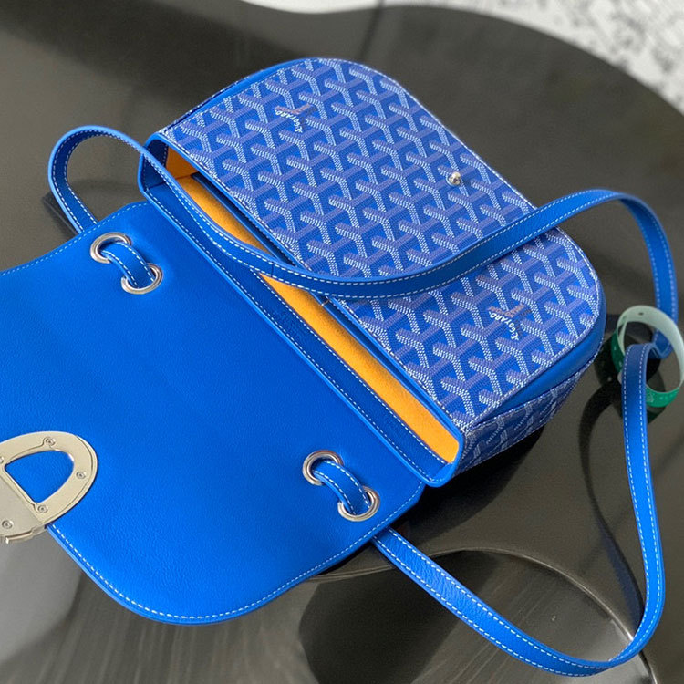Goyard 233 bag