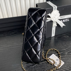 CHANEL Flap Bag 25cm