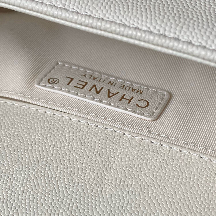 CHANEL Leroy Flap Bag