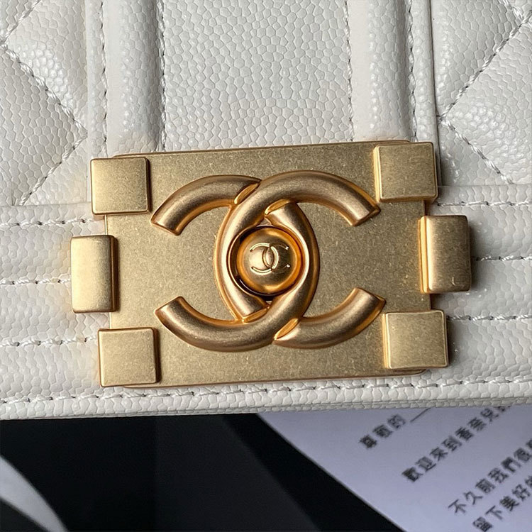 CHANEL Leroy Flap Bag