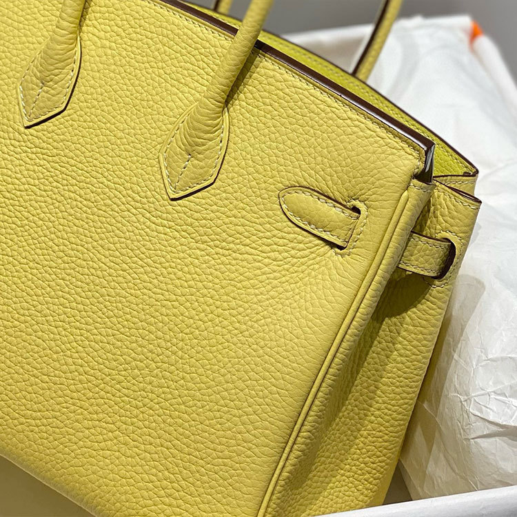 HERMES Birkin Handbag 25CM
