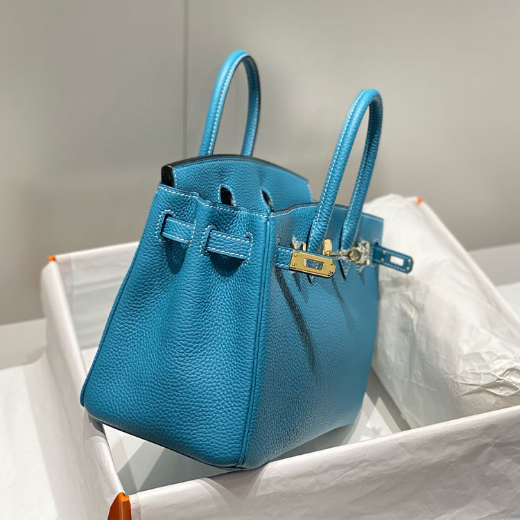 HERMES Birkin Handbag 25CM