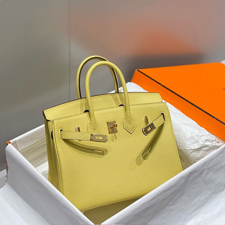 HERMES Birkin Handbag 25CM