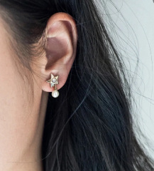 DIOR Earrings
