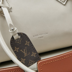 LV Speedy Cargo Vibe Bag