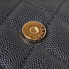 CHANEL 23p Kelly Bag