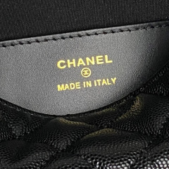 CHANEL Coco Crush Bag