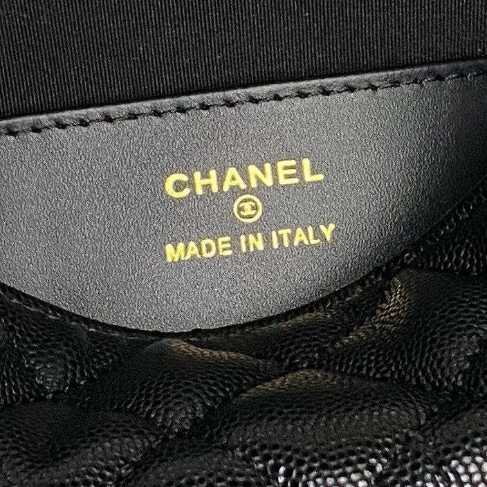 CHANEL Coco Crush Bag