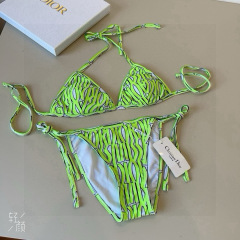 DIOR Swimsuit