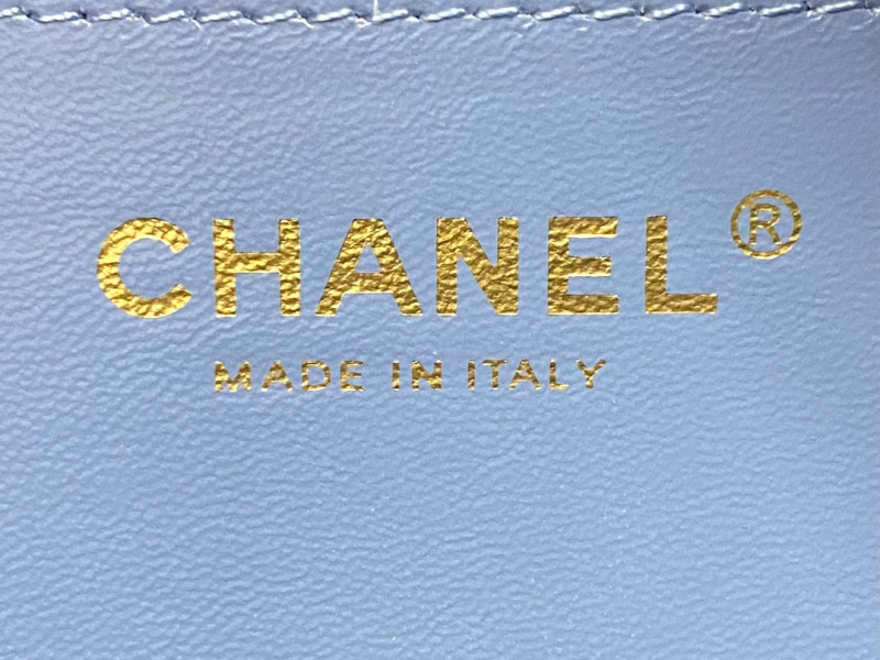 CHANEL 25C Hobo Medium Bag
