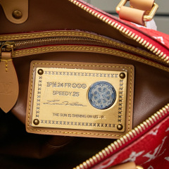 LV Speedy P9 Bandoulière 25 Handbag