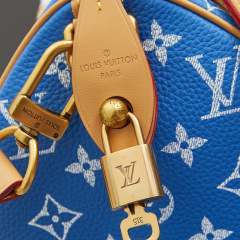LV Speedy P9 Bandoulière 25 Handbag