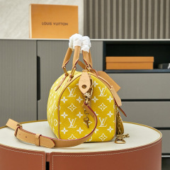 LV Speedy P9 Bandoulière 25 Handbag