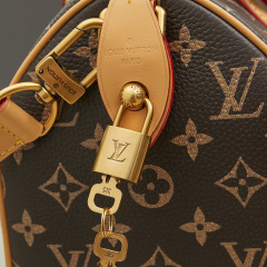 LV Speedy P9 Bandoulière 25 Handbag