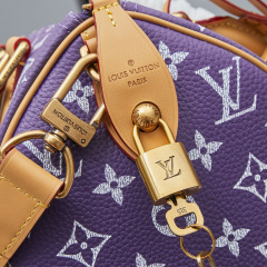 LV Speedy P9 Bandoulière 25 Handbag
