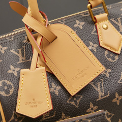 LV Speedy P9 Bandoulière 25 Handbag