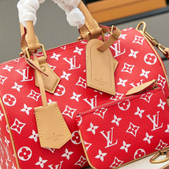 LV Speedy P9 Bandoulière 25 Handbag