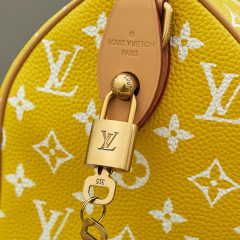 LV Speedy P9 Bandoulière 25 Handbag