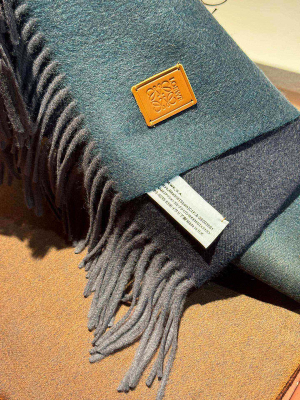 LOEWE Gradient Scarf
