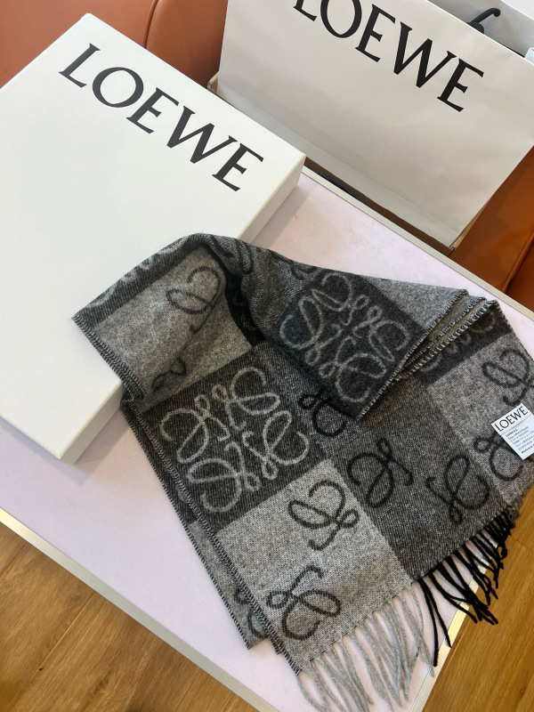 LOEWE Scarf