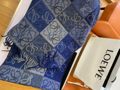 LOEWE Scarf