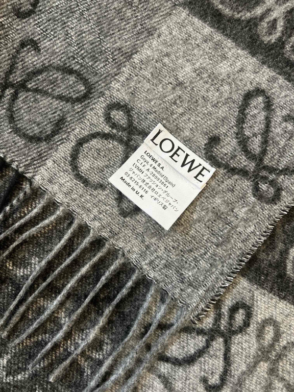 LOEWE Scarf