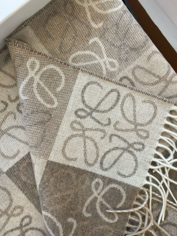 LOEWE Scarf