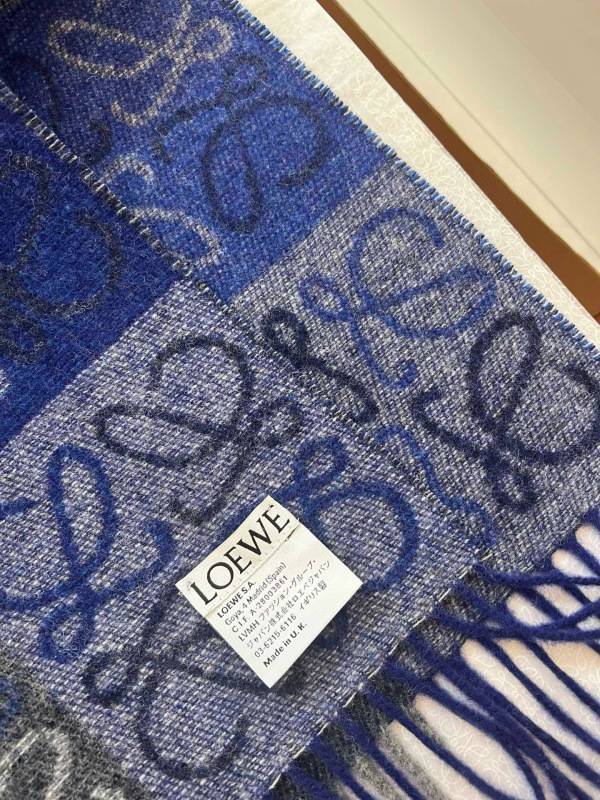 LOEWE Scarf