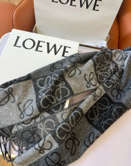 LOEWE Scarf